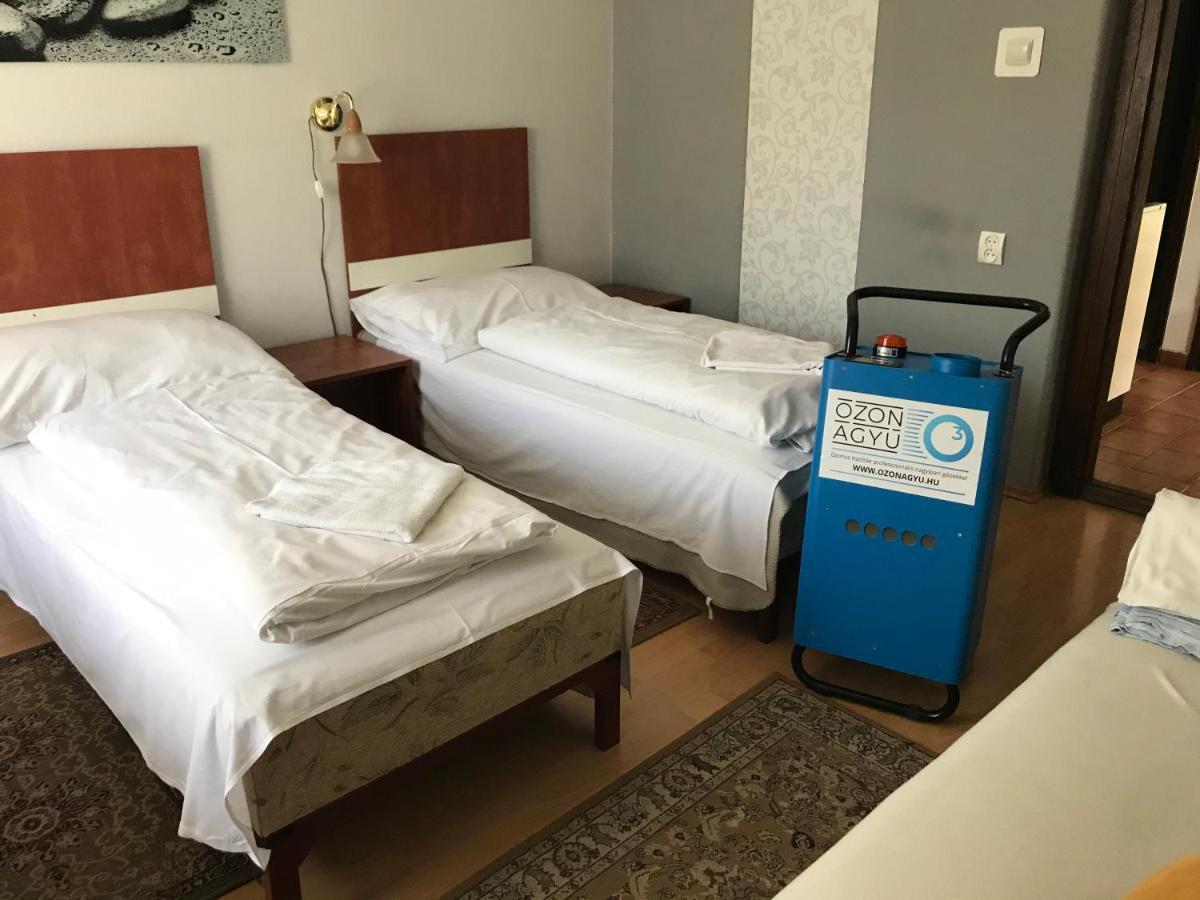 Erika Vendeghaz Hotel เซนเทนแดร ภายนอก รูปภาพ